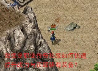 ΢�䵥ְҵ����˽����ο�������ս�����ȡϡ��װ����