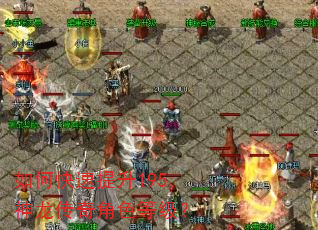 如何快速提升195神龙传奇角色等级? 如何快速提升195神龙传奇角色等级?