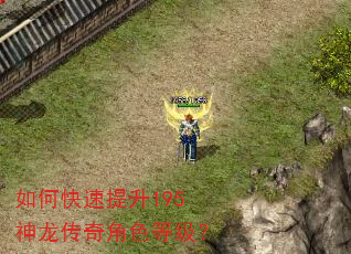 如何快速提升195神龙传奇角色等级? 如何快速提升195神龙传奇角色等级?