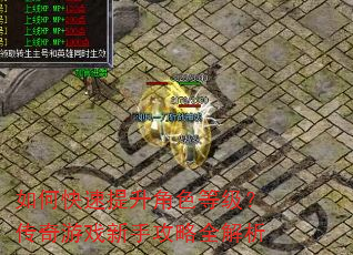 如何快速提升角色等级?传奇游戏新手攻略全解析 如何快速提升角色等级?传奇游戏新手攻略全解析
