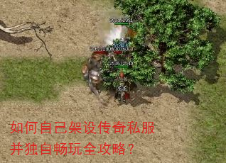 ����Լ����贫��˽�������Գ���ȫ���ԣ�