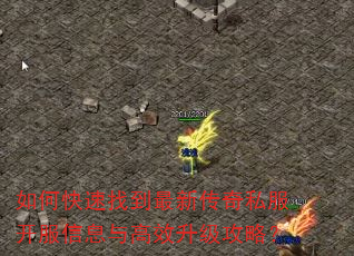 如何快速找到最新传奇私服开服信息与高效升级攻略? 如何快速找到最新传奇私服开服信息与高效升级攻略?