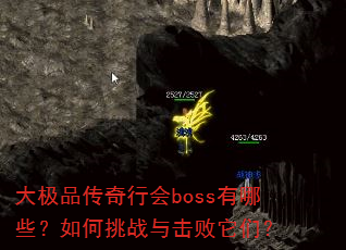 ��Ʒ�����л�boss����Щ�������ս��������ǣ�