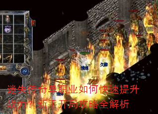 ��ʧ���浥ְҵ��ο�������ս�������ֿ��ֹ���ȫ����
