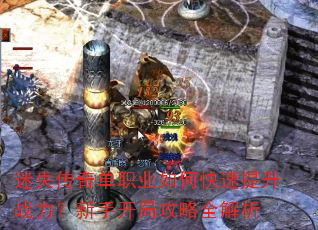 ��ʧ���浥ְҵ��ο�������ս�������ֿ��ֹ���ȫ����