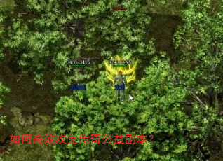 ��θ�Ч���˴��湫�渱����